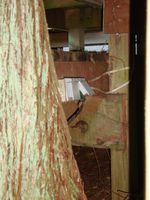 DSC00295.jpg