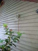 DSC00300.jpg