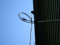 DSC00319.jpg