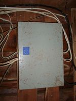 DSC00320.jpg