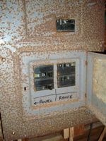 DSC00323.jpg
