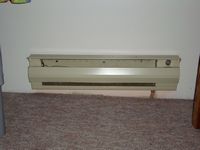 DSC00341.jpg